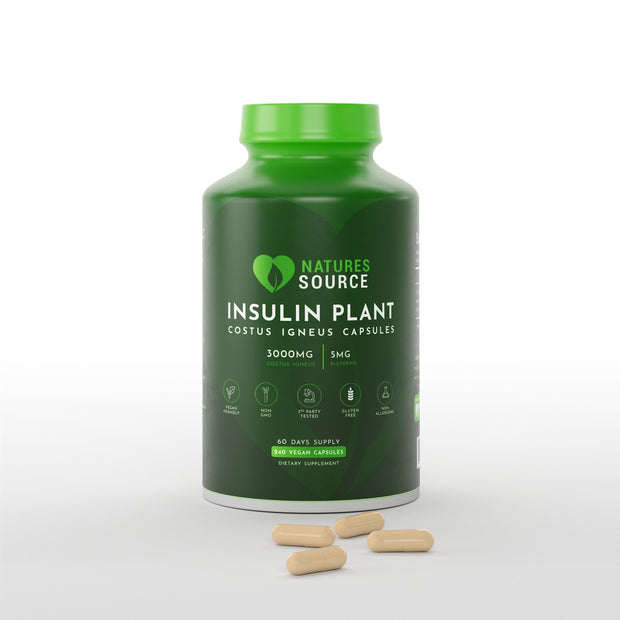 Insulin Plant (Costus Igneus) Capsules - 60 Day Supply Vitamins & Supplements The Insulin Plant 