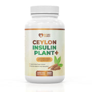 Nature's Source Insulin Plant Plus Capsules - All Natural, Costus Igneus Powder Combined with Ceylon Cinnamon for Improved Blood Sugar Management - Vegan, Gluten Free, Non-GMO Supplement - 360 Capsules Nature's Source 