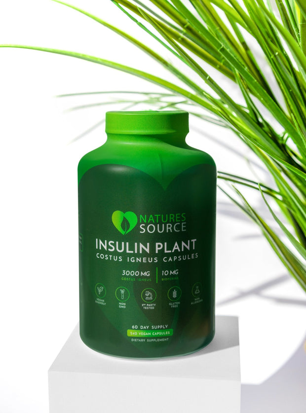 Natures Source - Insulin Plant (Costus Igneus) Capsules The Insulin Plant 